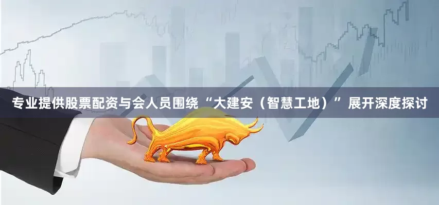 专业提供股票配资与会人员围绕 “大建安（智慧工地）” 展开深度探讨