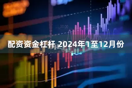 配资资金杠杆 　　2024年1至12月份