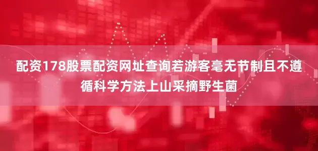 配资178股票配资网址查询若游客毫无节制且不遵循科学方法上山采摘野生菌
