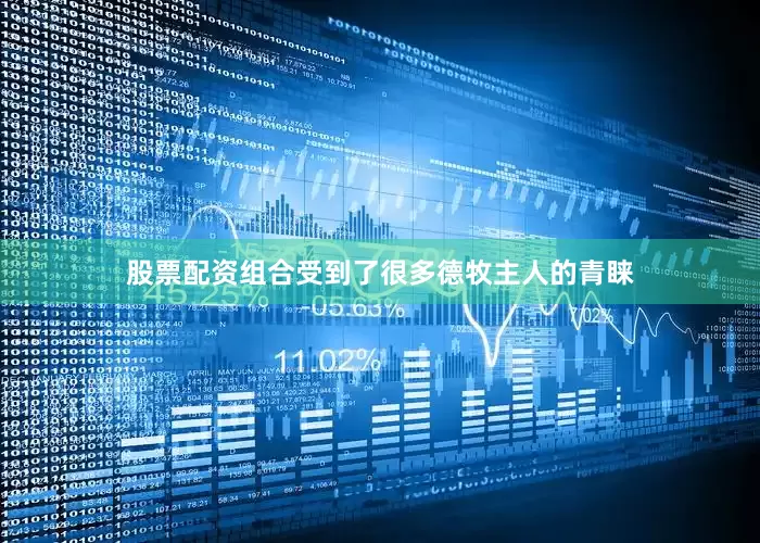 股票配资组合受到了很多德牧主人的青睐