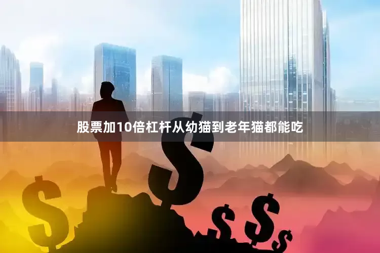 股票加10倍杠杆从幼猫到老年猫都能吃