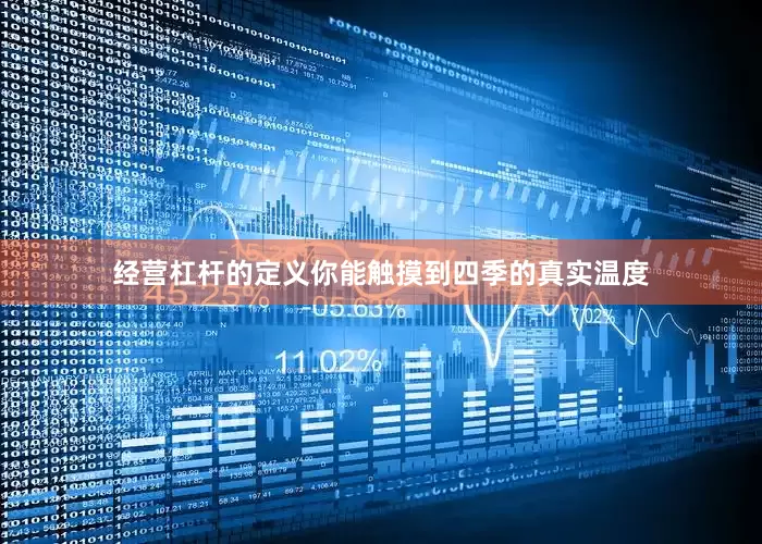 经营杠杆的定义你能触摸到四季的真实温度