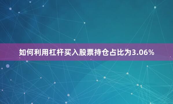 如何利用杠杆买入股票持仓占比为3.06%