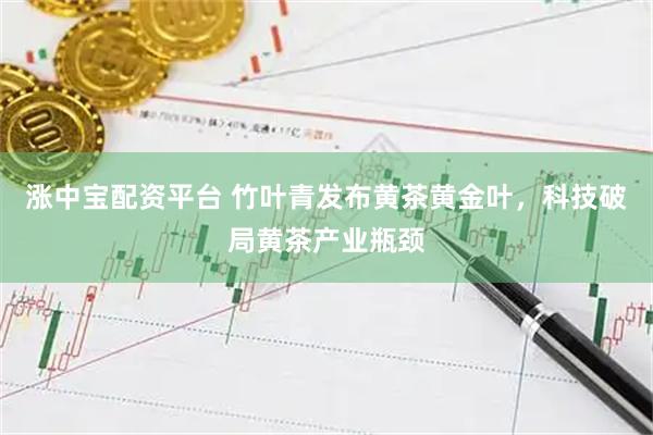 涨中宝配资平台 竹叶青发布黄茶黄金叶，科技破局黄茶产业瓶颈